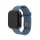 Pasek do smartwatchy FIXED Silicone Strap Set do Apple Watch 40/41/42 mm green-blue